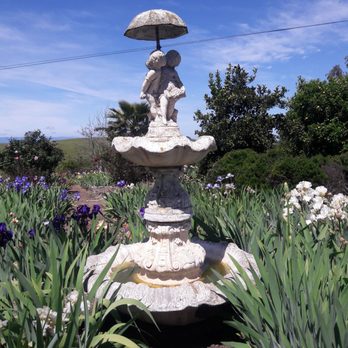 Nola's Iris Garden - Nurseries & Gardening Near Me - San Jose, California