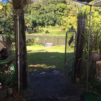 Hanalei River Healing Arts - View out the hut door - Massage Near Me - Hanalei, Hawaii Hanalei River Healing Arts - View out the hut door - Massage Near Me - Hanalei, Hawaii