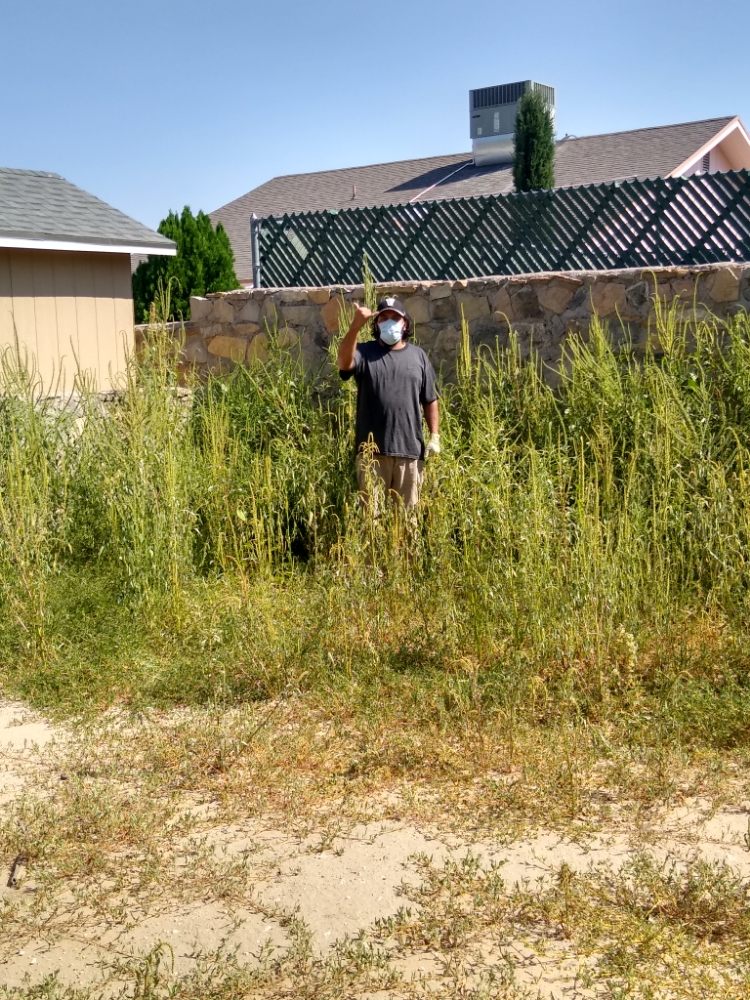 Before (Jungle) Yelp