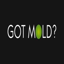 Real Estate Mold Solutions