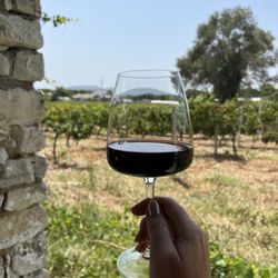 Urlice Vineyards - The cab/Syrah was fabulous too!