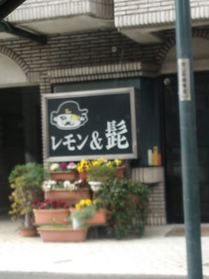 レモンページ、 瀬戸内レモンのエキス配合『三ツ矢THE檸檬』3月4日発売