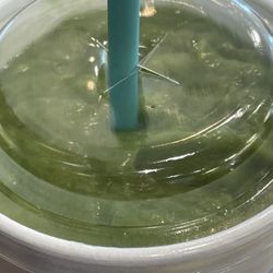 Avocolada, no sugar