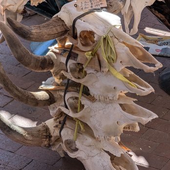 Old Town Albuquerque - So many cow skulls for sale - Shopping Centers Near Me