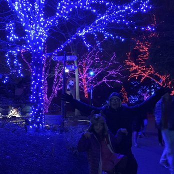 ZooLights - ZooLights at the Nation's Capital - Zoos Near Me - Washington, DC, District of Columbia