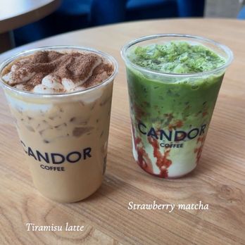 Candor Coffee - Iced Tiramisu latte Iced strawberry Matcha - Coffee & Tea Near Me - Renton, Washington Candor Coffee - Iced Tiramisu latte Iced strawberry Matcha - Coffee & Tea Near Me - Renton, Washington