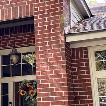 Pro Pressure Washing - High lighting moss - Pressure Washers Near Me Pro Pressure Washing - High lighting moss - Pressure Washers Near Me