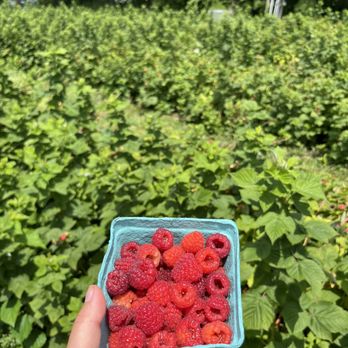 Spencer Farm - Pick Your Own Farms Near Me - Noblesville, Indiana Spencer Farm - Pick Your Own Farms Near Me - Noblesville, Indiana