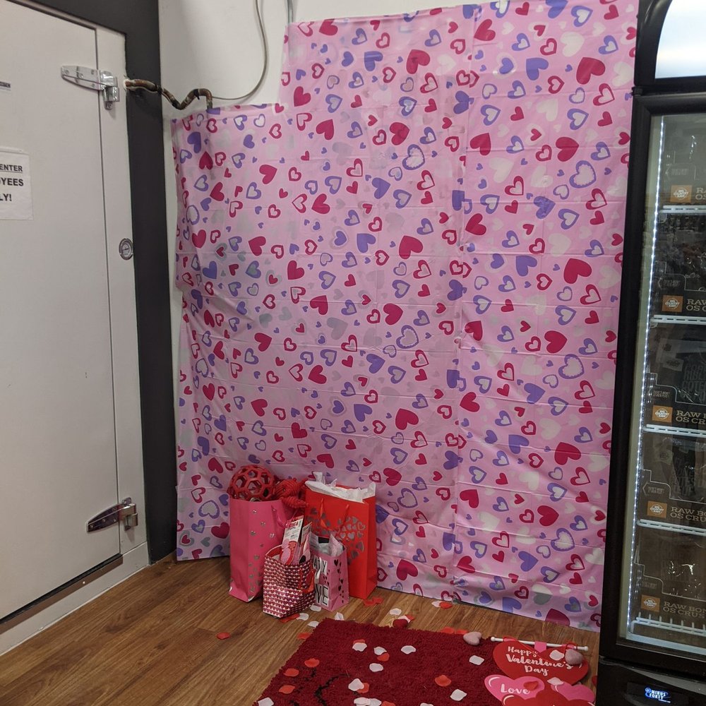 Ren's Pets - Valentine's day picture opportunity - Pet Stores Near Me - Toronto, Ontario Ren's Pets - Valentine's day picture opportunity - Pet Stores Near Me - Toronto, Ontario