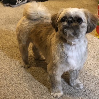 Mane & Minks Vet-Spa - Pac - Pet Groomers Near Me - Houston, Texas Mane & Minks Vet-Spa - Pac - Pet Groomers Near Me - Houston, Texas