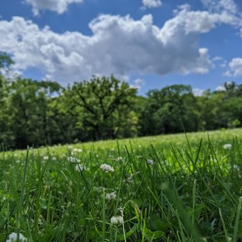 Thatcher Woods Forest Preserve - View from the grass - Hiking Near Me - Maywood, Illinois Thatcher Woods Forest Preserve - View from the grass - Hiking Near Me - Maywood, Illinois