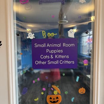 Nishu Bay Kennel & Grooming - Quiet room - Pet Groomers Near Me - Garrison, North Dakota Nishu Bay Kennel & Grooming - Quiet room - Pet Groomers Near Me - Garrison, North Dakota