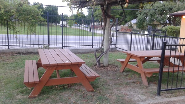 Ramblin Rose by null