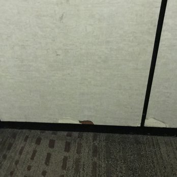 Residence Inn Cleveland Mentor - torn up elevator - Hotels Near Me - Mentor, Ohio Residence Inn Cleveland Mentor - torn up elevator - Hotels Near Me - Mentor, Ohio