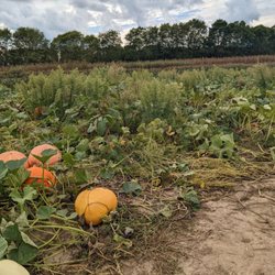 Jones Family Farm