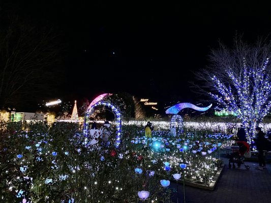 Ashikaga Flower Park by null