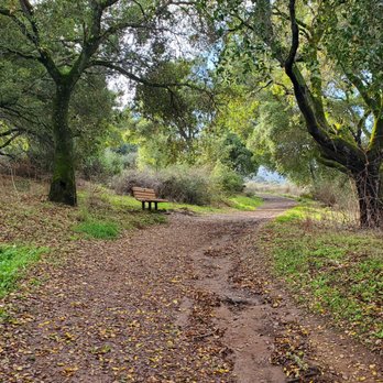 Tony Look Trail - Trail - Hiking Near Me - Cupertino, California