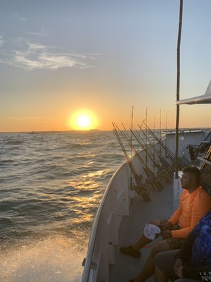 DOLPHIN DOCK - Updated March 2025 - 155 Photos & 148 Reviews - 300 W