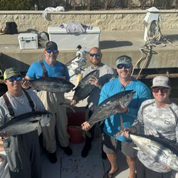 Fish Hawk Fishing Charters - 6 blackfin, 12 American Red Snapper, 4 mangrove snapper, some yellow tail a whopper permit and a couple of champion sized trigger fish.