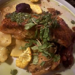 Salmon Salmon