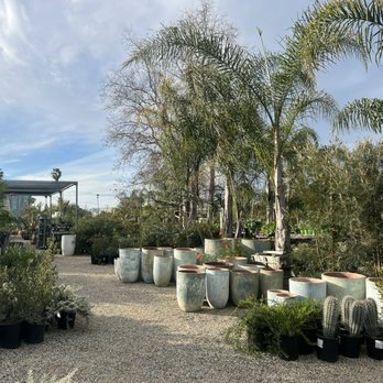 Flora Grubb Gardens - Nurseries & Gardening Near Me - Marina del Rey, California