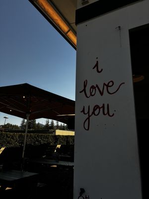 Station St. Helena by null