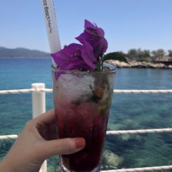 Hidayet'in Koyu - Pomegranate mojito