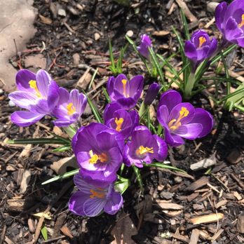 Frelinghuysen Arboretum - Botanical Gardens Near Me - Morristown, New Jersey