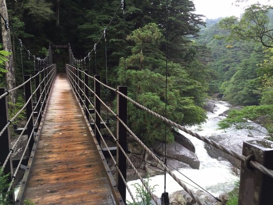 Yakusugi Land by null