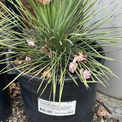 Garrett Ace Hardware - Healdsburg