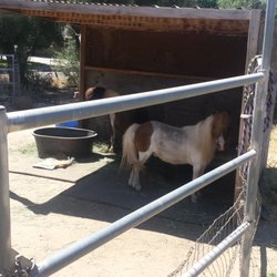 Cherry ave Horse Boarding