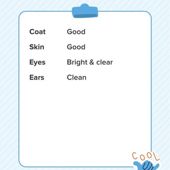 Pawradise Mobile Grooming - Adorable report card - Pet Groomers Near Me