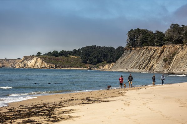 Bowling Ball Beach Trailhead by null