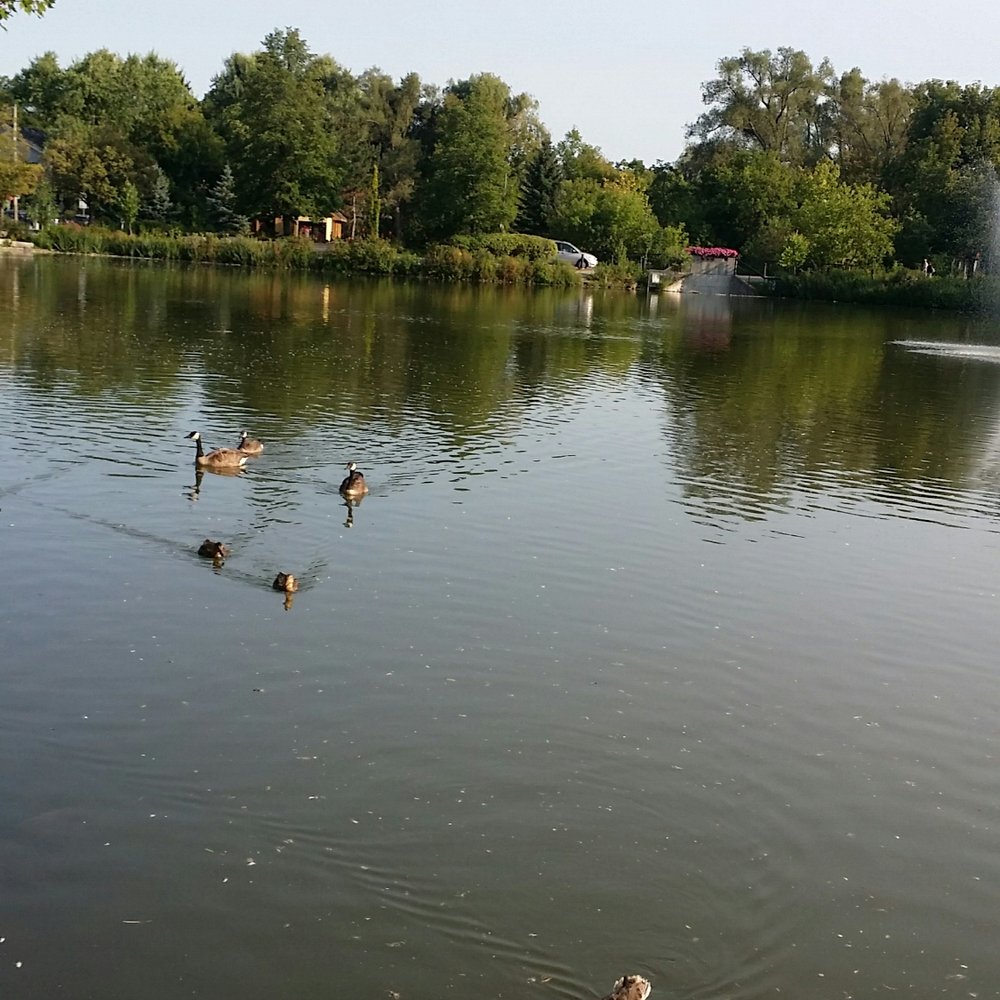 Mill Pond Park - Parks Near Me - Richmond Hill, Ontario Mill Pond Park - Parks Near Me - Richmond Hill, Ontario