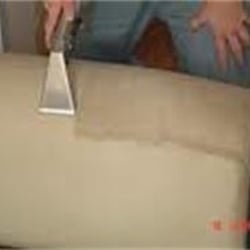 Proclean Carpet Cleaning & Floods