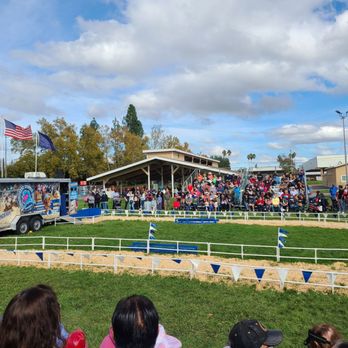 Alameda County Fair - Getting ready for the Alaskan pig race - 10/2021 - Festivals Near Me - Pleasanton, California
