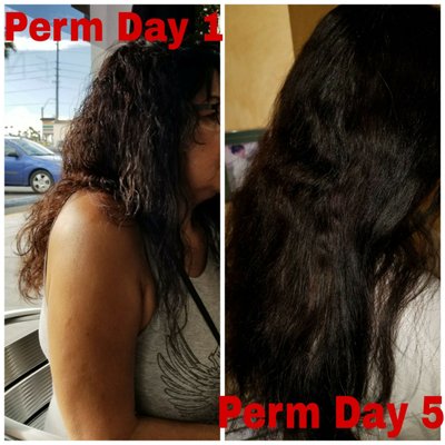 Curl Up N Dye 113 Photos 140 Reviews Hair Salons 2550 S