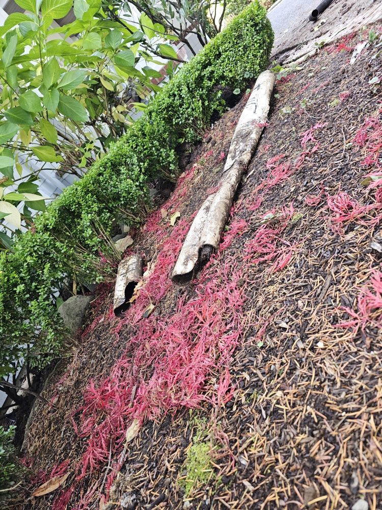 Slide of American Rooter Sewer & Drain Service