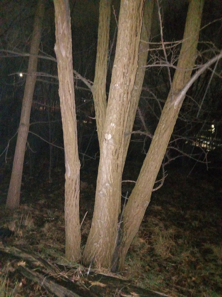 CITYREZ OVATIONS Updated June 2024 Request a Quote London