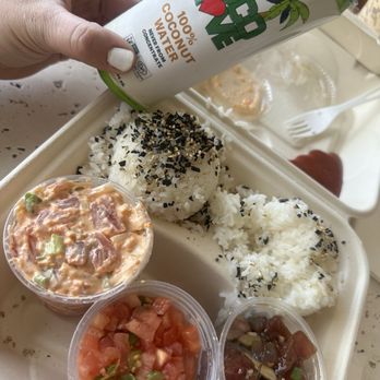 Honaunau Poke Shop - White rice, Lomi salmon, Slippery Hawaiian, and Spicy creamy Slipper Hawiian with coconut water - Seafood Near Me - Captain Cook, Hawaii Honaunau Poke Shop - White rice, Lomi salmon, Slippery Hawaiian, and Spicy creamy Slipper Hawiian with coconut water - Seafood Near Me - Captain Cook, Hawaii
