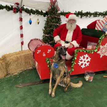 Coates Christmas Trees Farm - Santa! - Christmas Trees Near Me - Auburn, Washington