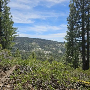 Aspen Meadow Pack Station - Active Life Near Me - Pinecrest, California Aspen Meadow Pack Station - Active Life Near Me - Pinecrest, California