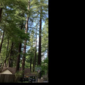 Miranda Gardens Resort - Just outside cabin 2. - Resorts Near Me - Miranda, California