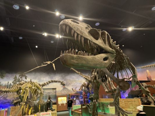 Ogden's George S. Eccles Dinosaur Park by null