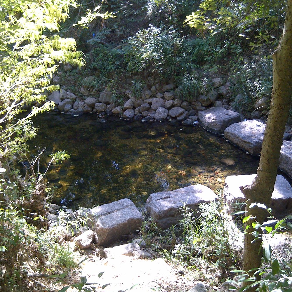 Edith L Moore Nature Sanctuary - Surprisingly clean and clear water but we did not spot any fish. - Parks Near Me - Houston, Texas Edith L Moore Nature Sanctuary - Surprisingly clean and clear water but we did not spot any fish. - Parks Near Me - Houston, Texas