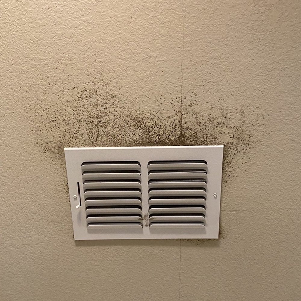 Spring Creek Apartments - This is their nasty mildew/mold on the ceilings! MOLD IS DANGEROUS - Apartments Near Me - Crestview, Florida Spring Creek Apartments - This is their nasty mildew/mold on the ceilings! MOLD IS DANGEROUS - Apartments Near Me - Crestview, Florida