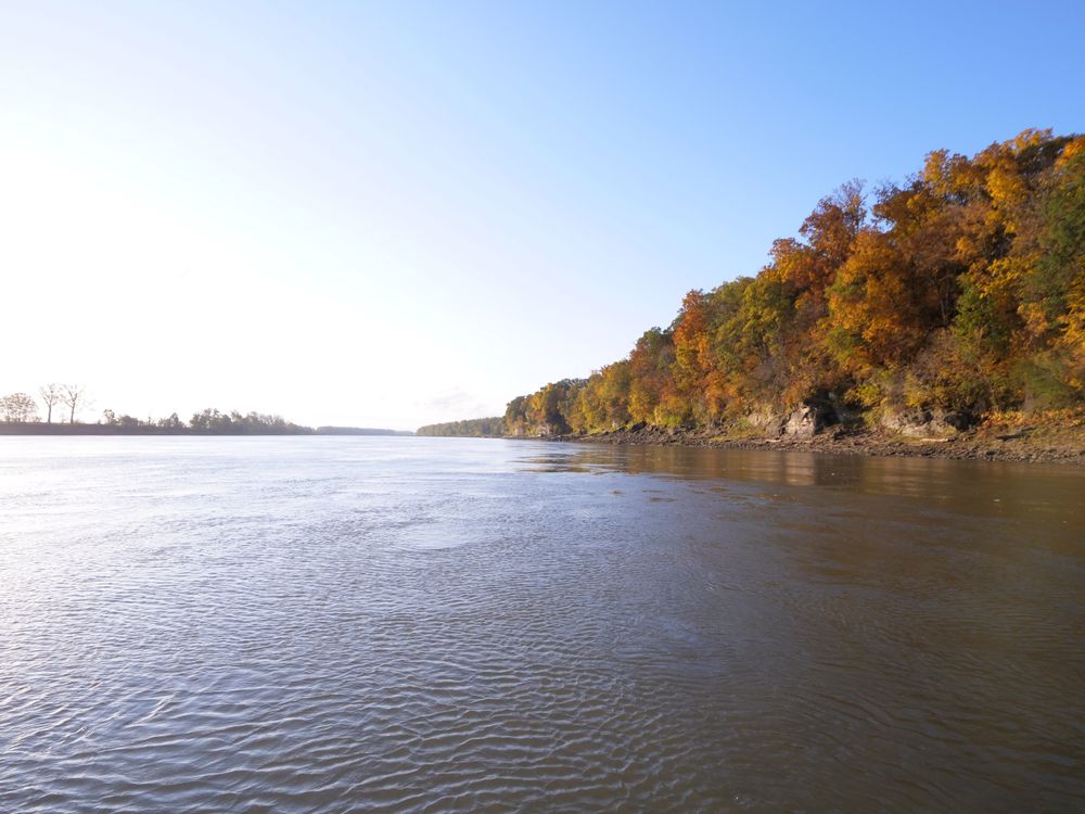 Life Water Counseling - grief counselor in Boonville, MO