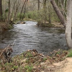 Hitchcock Creek Trail