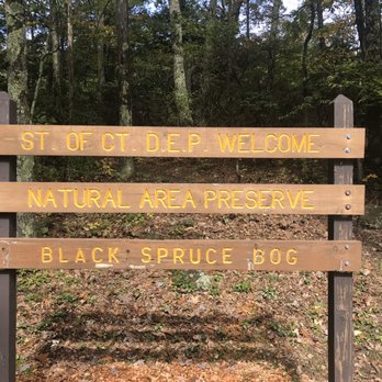 Mohawk State Forest - Parks Near Me - Goshen, Connecticut