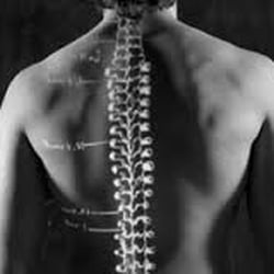 Body Movement Physiotherapy